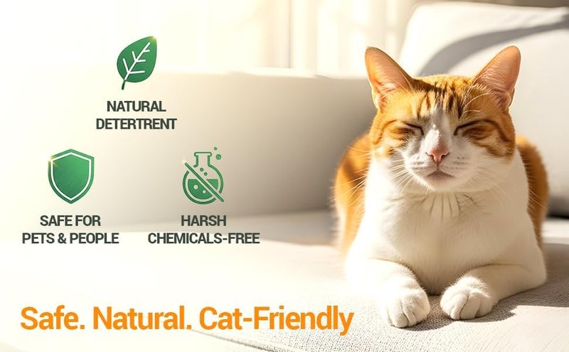 Colton's Naturals رذاذ تدريب القطط على عدم التبول والتبرز، 100% طبيعي - رذاذ غير سام لمنع التبول والتبرز - مصحح رائحة طبيعي لمنع علامات البول - ابق بعيدًا عن تدريب صندوق القمامة (16 أونصة) - Image 5